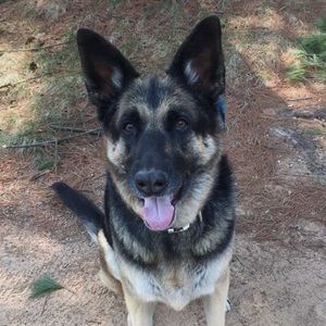 Meet your Posher, Dane